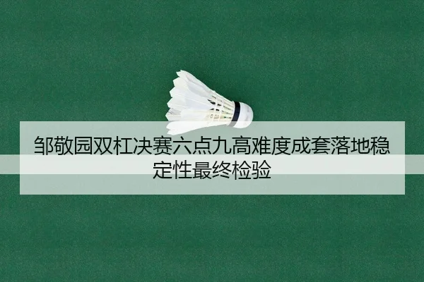 邹敬园双杠决赛六点九高难度成套落地稳定性最终检验